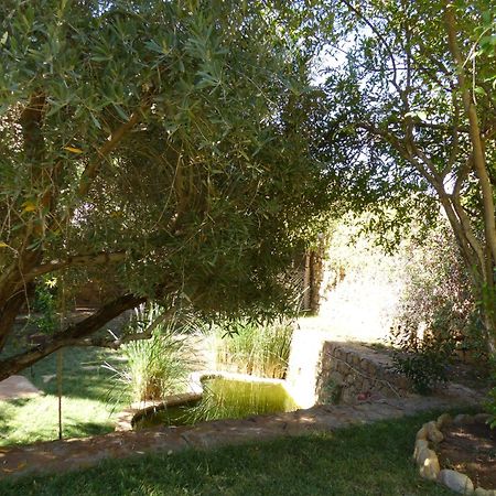 Agadir-Taghazout Magnifique Villa Dar Lina 4 Etoiles Εξωτερικό φωτογραφία